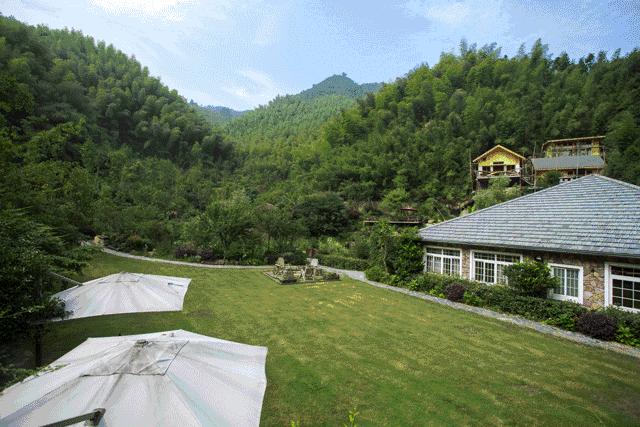 为一姑娘，10年他把30亩荒地打造成梦想家园，让人懂得真爱的意义