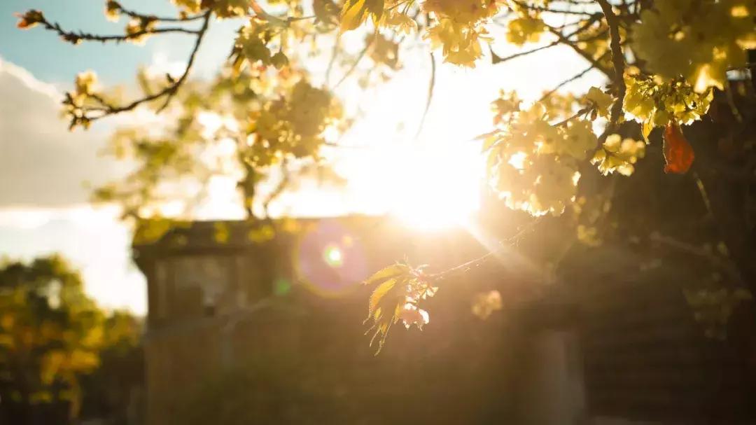 关于抒发情绪低落的诗词,激励人心的励志诗词