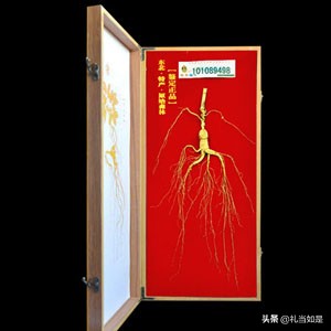 过年送什么滋补品比较好,新年送礼补品推荐