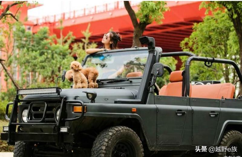 神坛之上完整版,神坛之上完整版免费观看