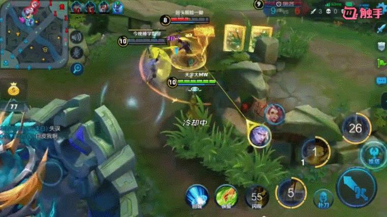 王者荣耀婉儿再飞行,王者荣耀婉儿操作秀张大仙