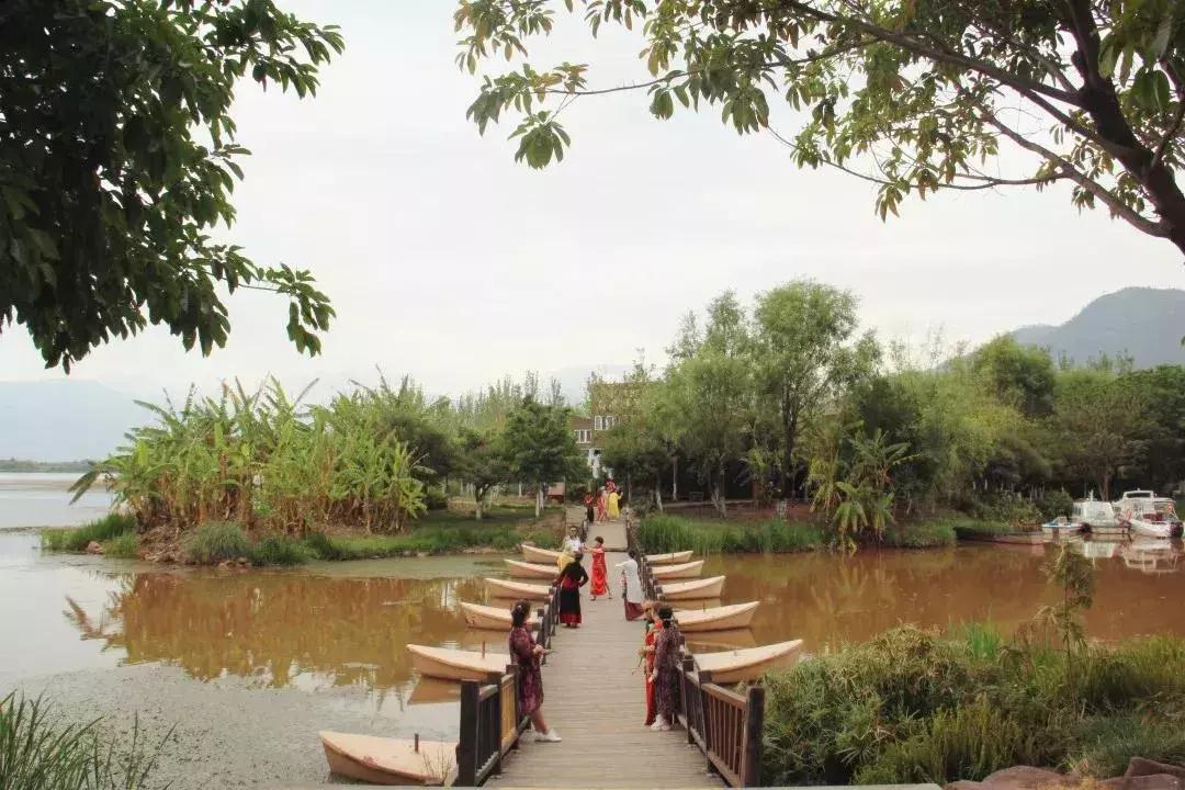 凉山彝族自治州邛海湿地,走进西昌邛海湿地