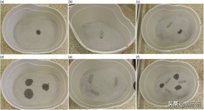如何整治猫咪乱拉屎,怎么解决猫咪乱拉大小便