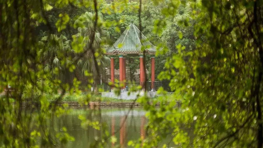 2020华南农业大学研究生复试时间,2023华南农业大学研究生招生