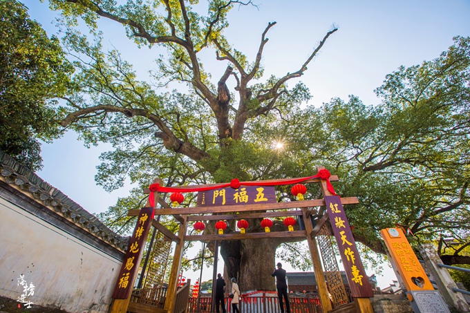 黄山屯溪新安江山水画廊,黄山新安江山水画廊