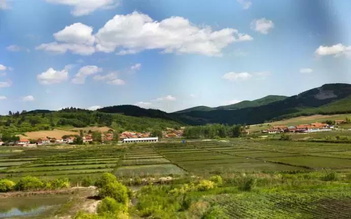 让石材产业大发展！黑龙江林口县大力招引石材项目