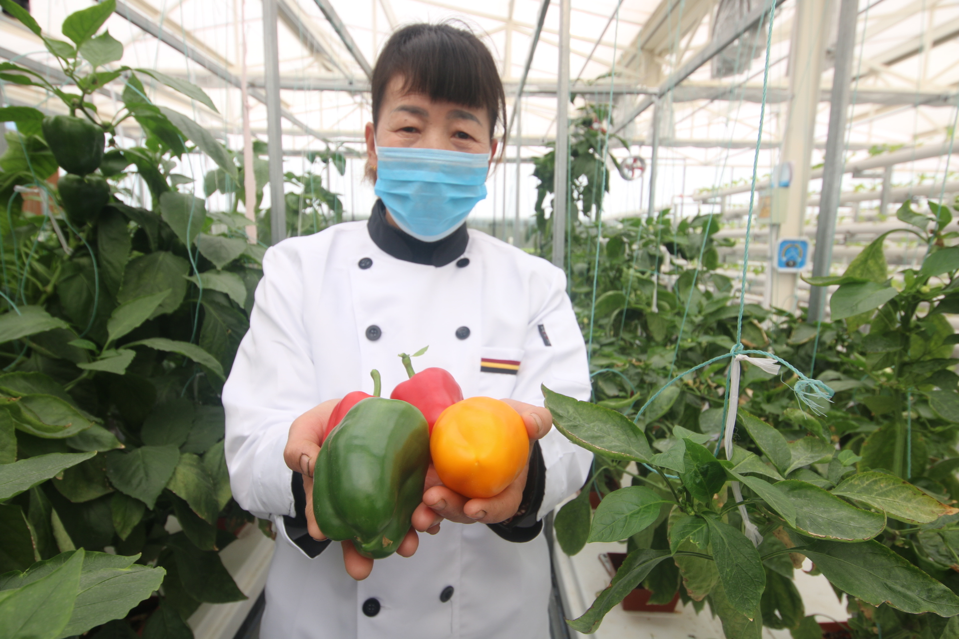 宝鸡：带你去体验拥有世界最大标准间的酒店