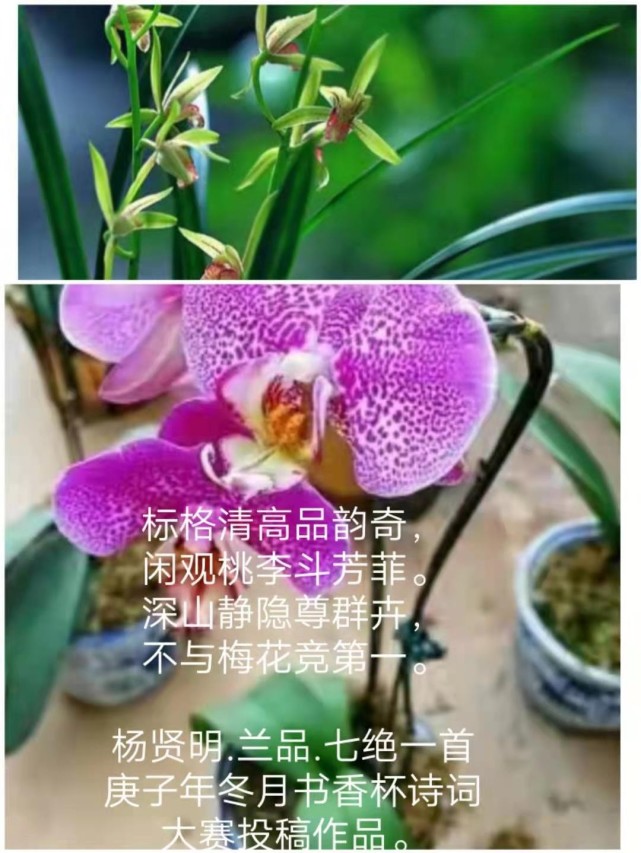 2022年全国诗词竞赛征稿,2021中华当代杯全国诗词大赛