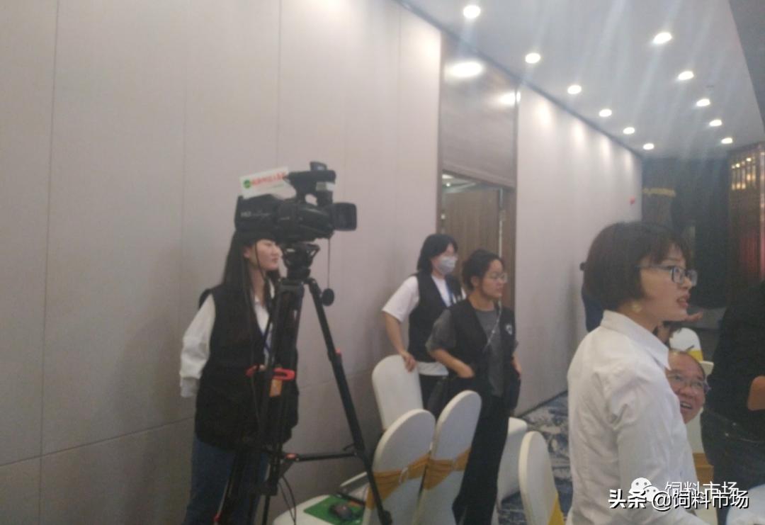 山东活力集团,长清区活力集团