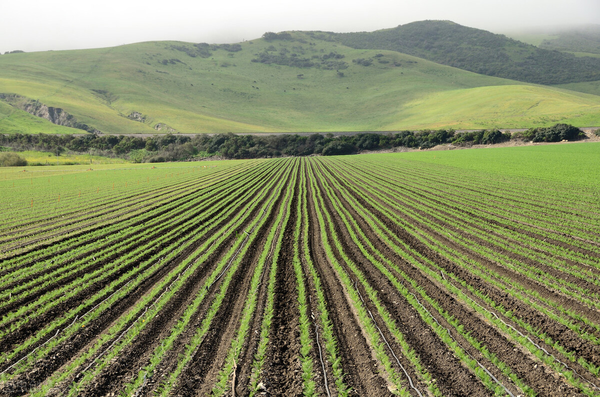 黑龙江省赚钱好项目大全,黑龙江创业项目商机招商