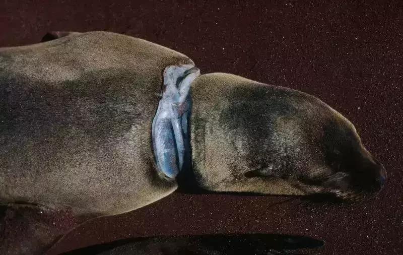 救救她韩语,救救她