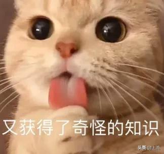 外国人听一剪梅粤语版完整,一剪梅抖音最火的舞蹈外国人