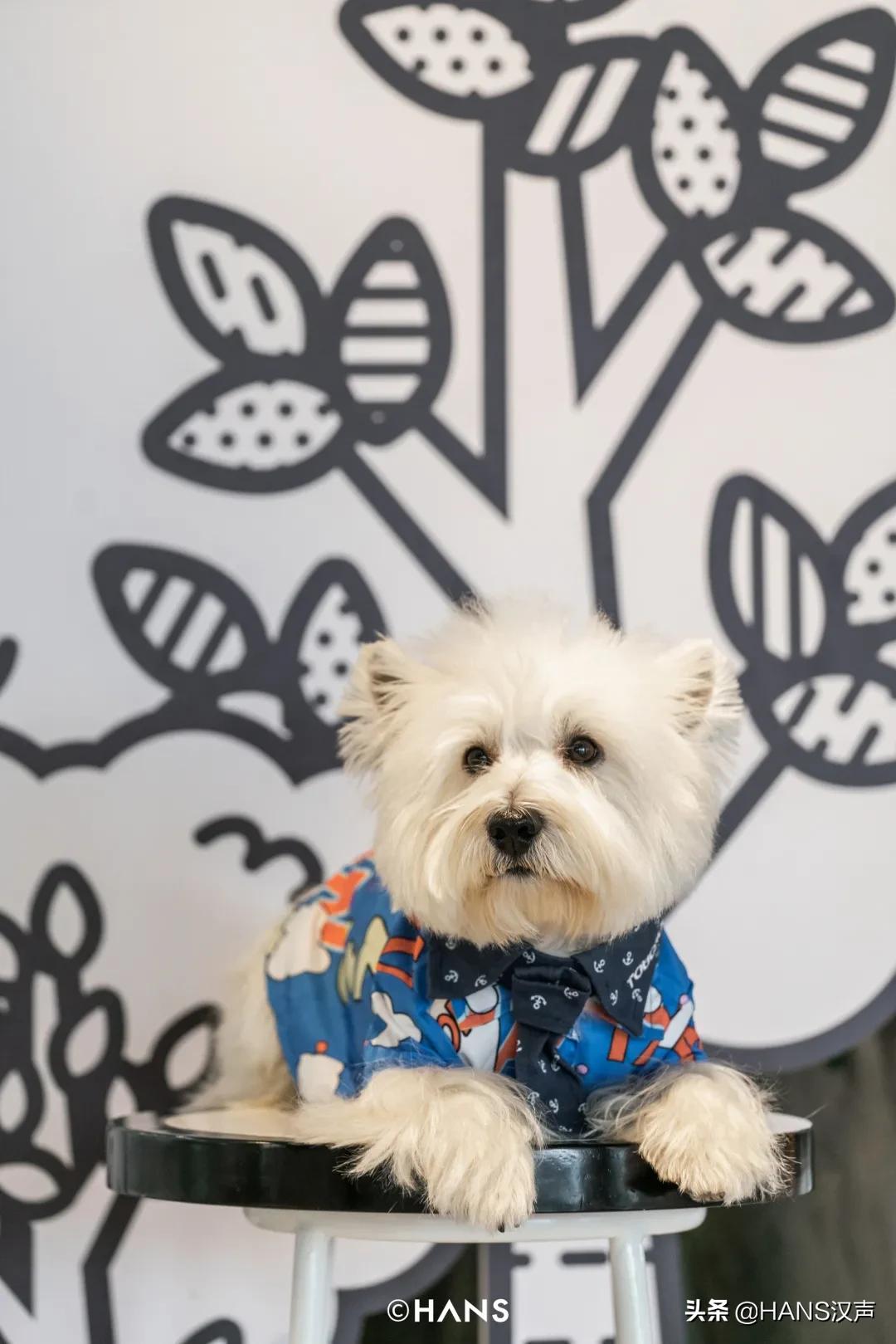 双十一不吃土的图片,双十一不吃土了吗