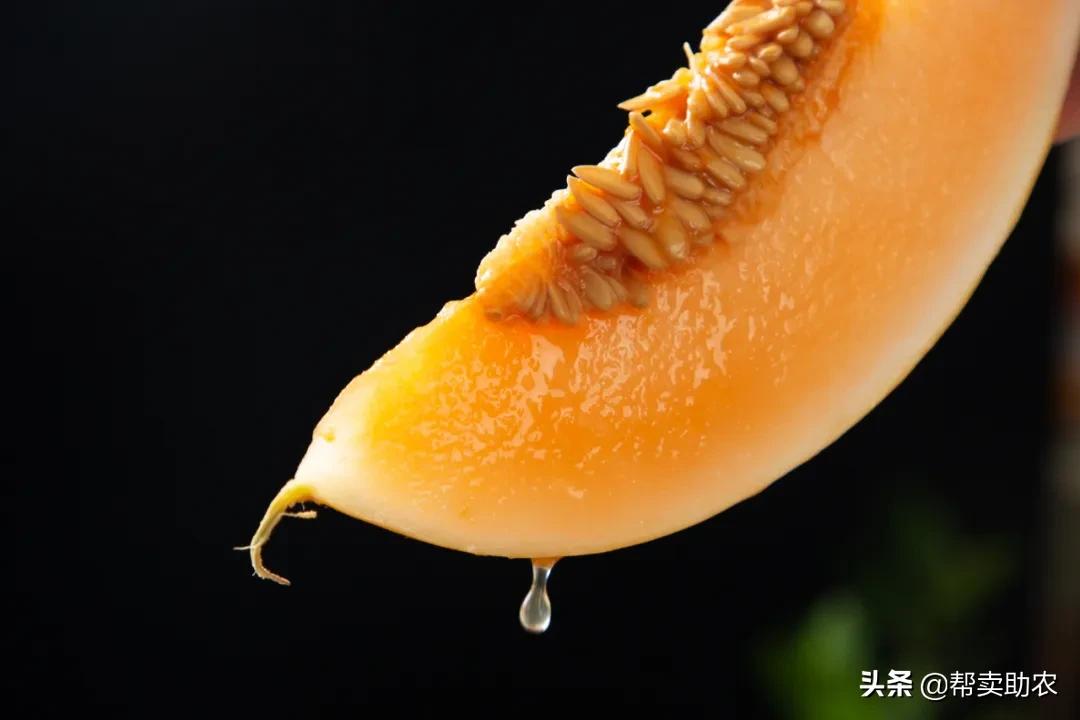 又香又甜又脆的蜜瓜,甜而不腻的蜜瓜好吃到停不下来
