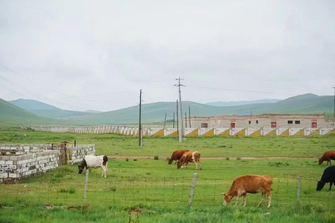 中华第一车:全程6天5夜,单程超6000元仍一票难求