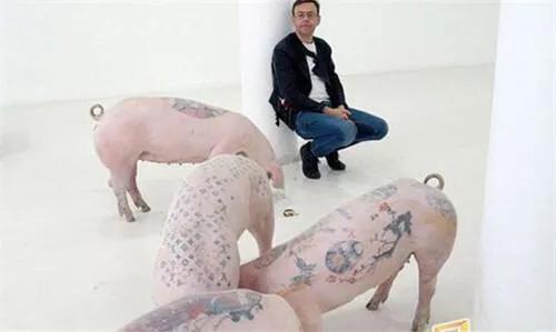 棣欏鍎跨尓鐨汗韬寘浠锋牸,棣欏鍎跨汗韬尓鍖呭灏戦挶