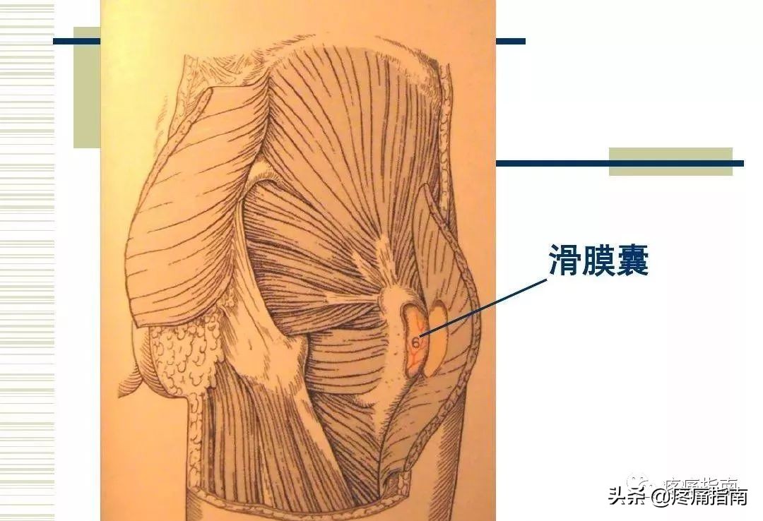 慢性疼痛常用的治疗方法,慢性疼痛常用治疗方法
