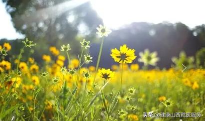 特别想哭心里压抑是抑郁吗,抑郁早上心里难受睡不着