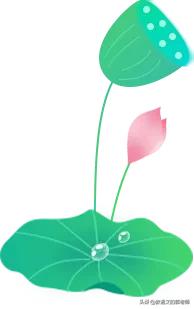 描写荷花的好词佳句怎么写,描写荷花的好词佳句用上比喻