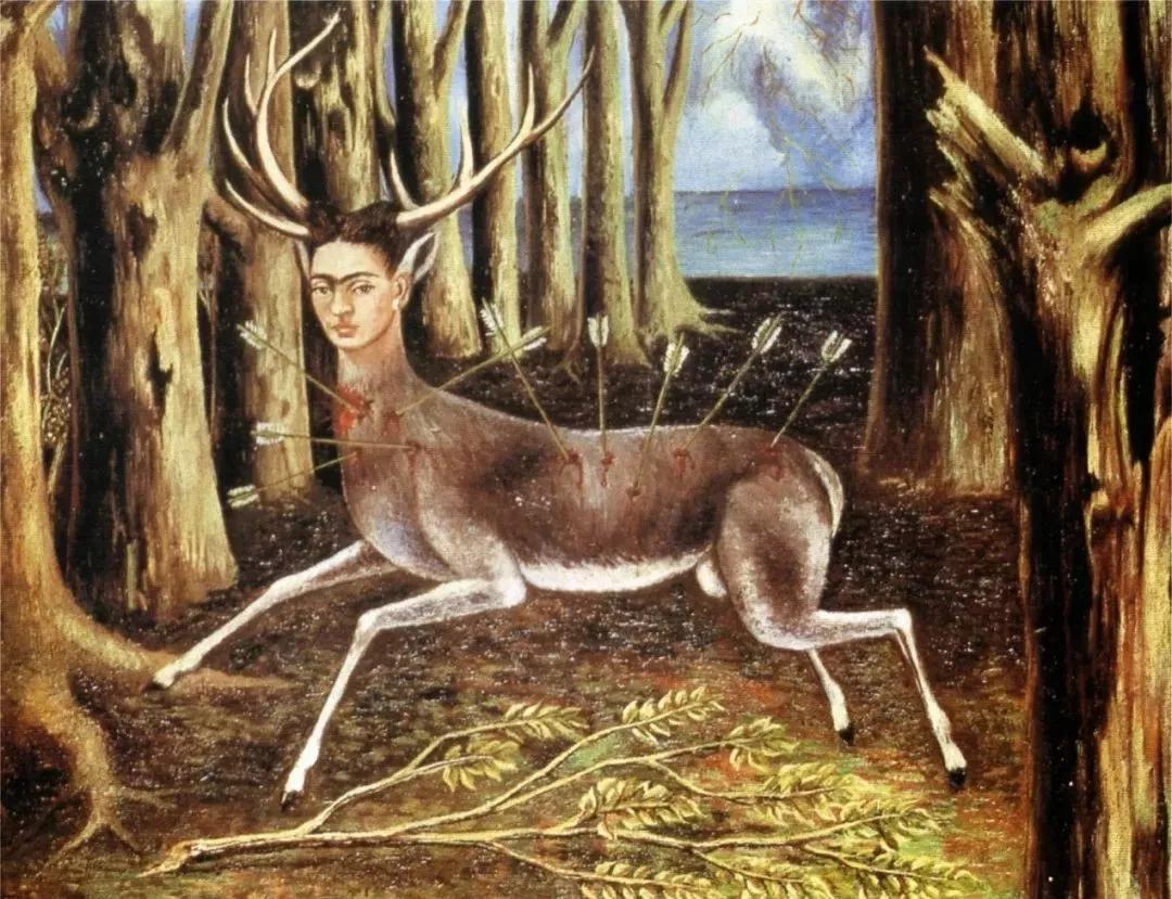 弗里达最著名的画,弗里达的画图片