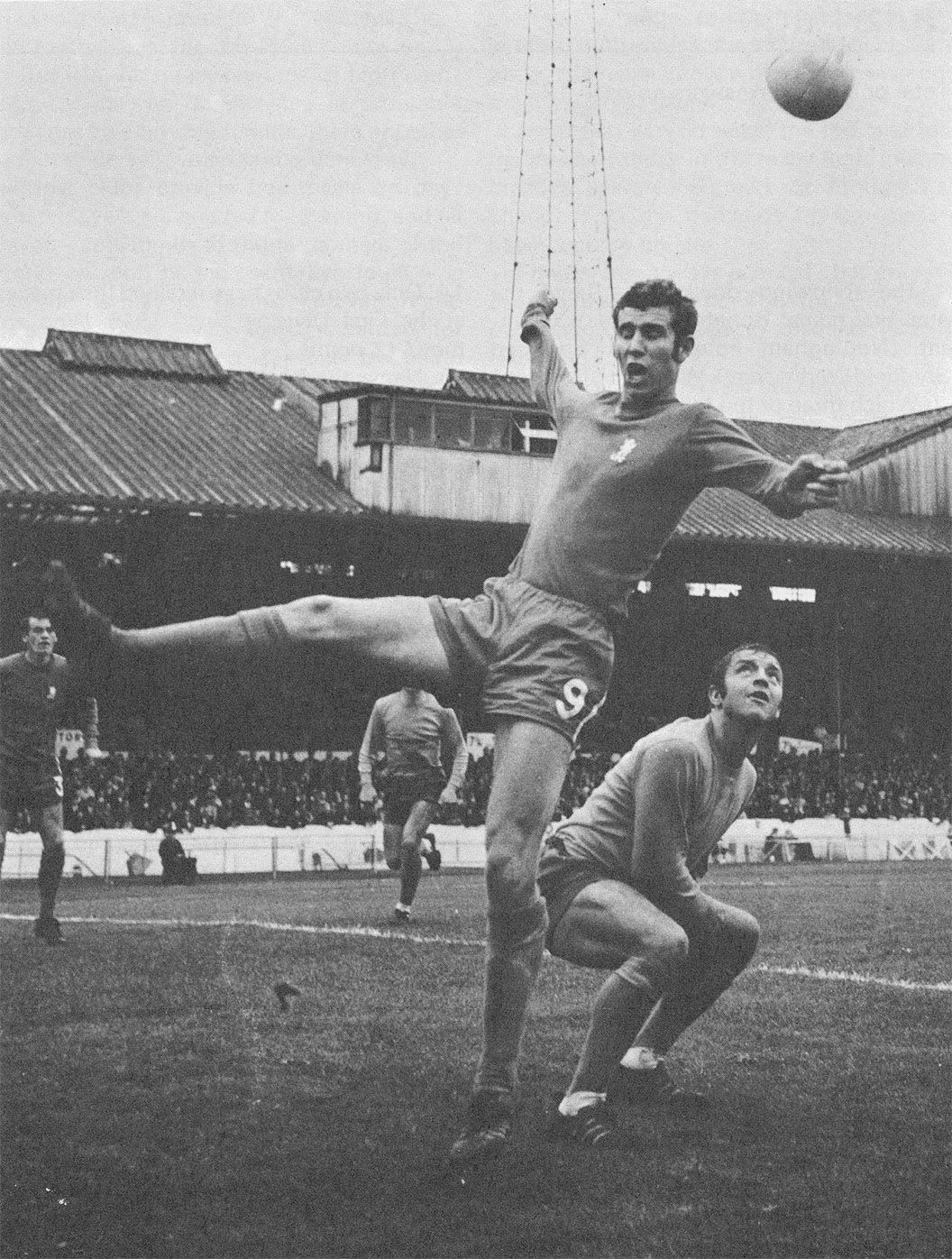 彼得-奥斯古德:斯坦福桥之王