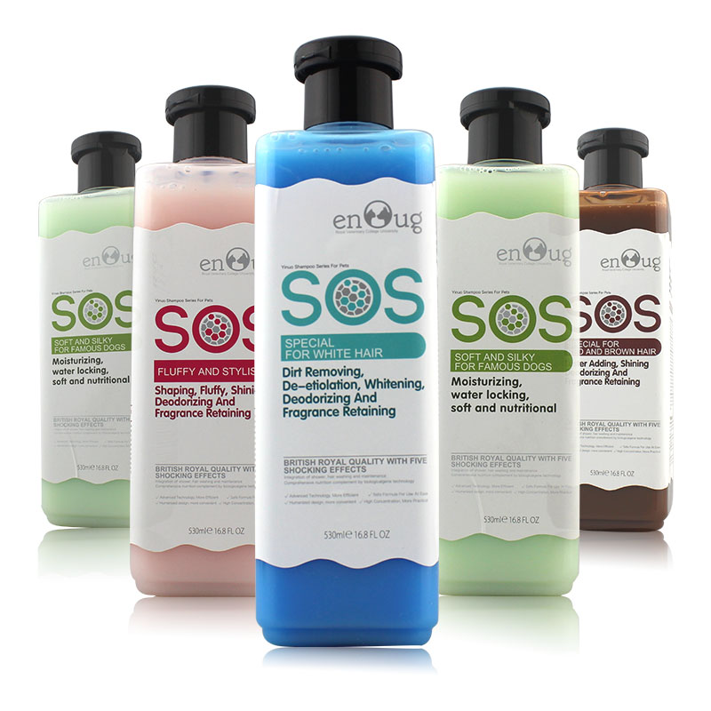 猫主子的一种用法,猫主子有什么表现