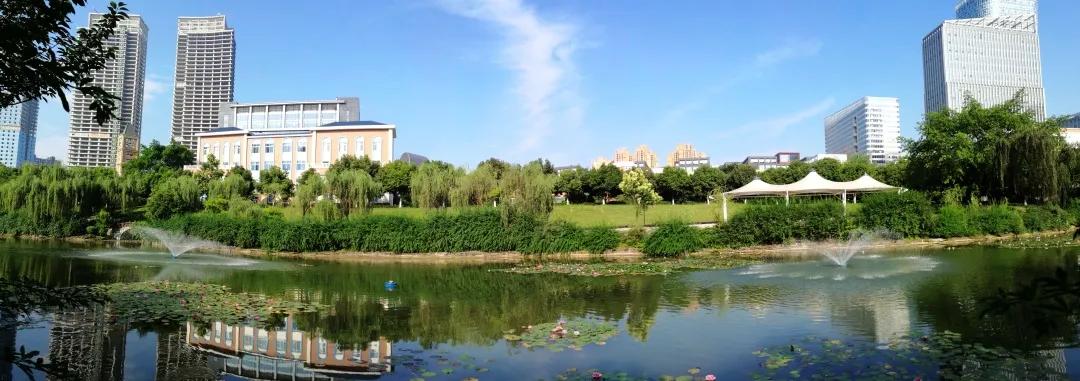 美视国际学校2020年重点率,美视国际学校收费