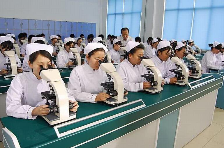 高校医学排名,中国高校医学院排名2019