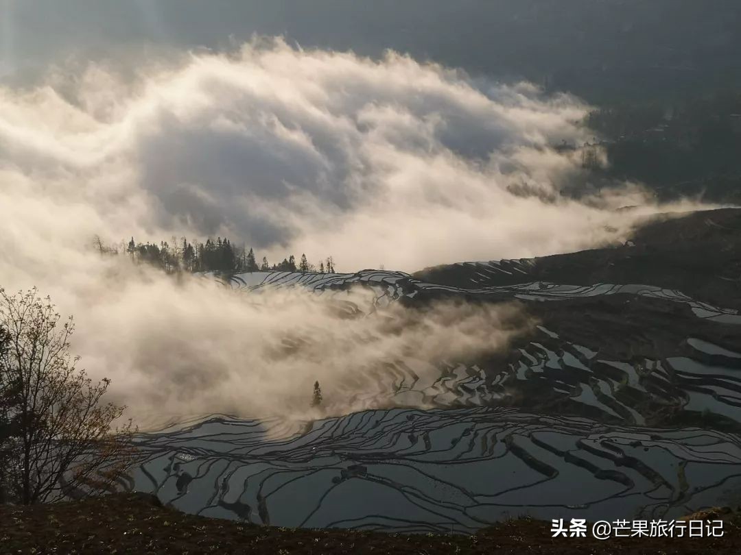 为何对云南评价低游客却络绎不绝,云南负面信息