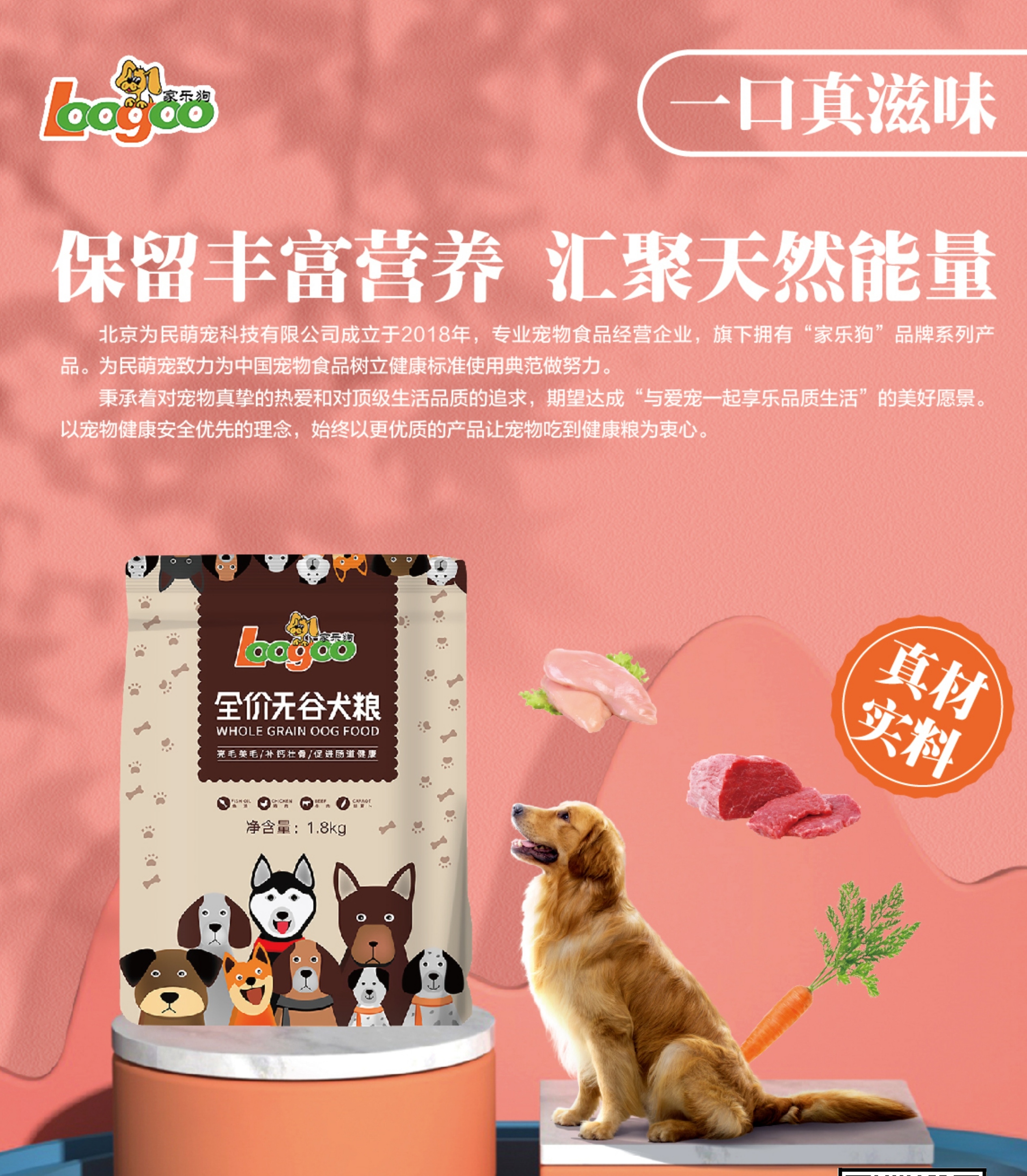 金毛犬可以吃剩饭剩菜吗,金毛犬适合吃什么品种