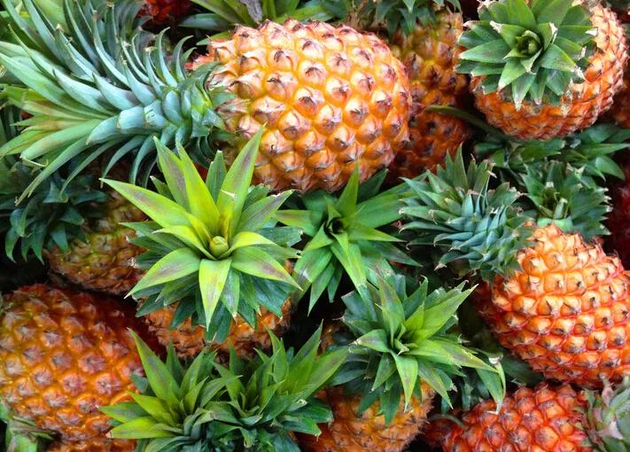 一年四季的时令蔬菜,一年四季的时令水果大全