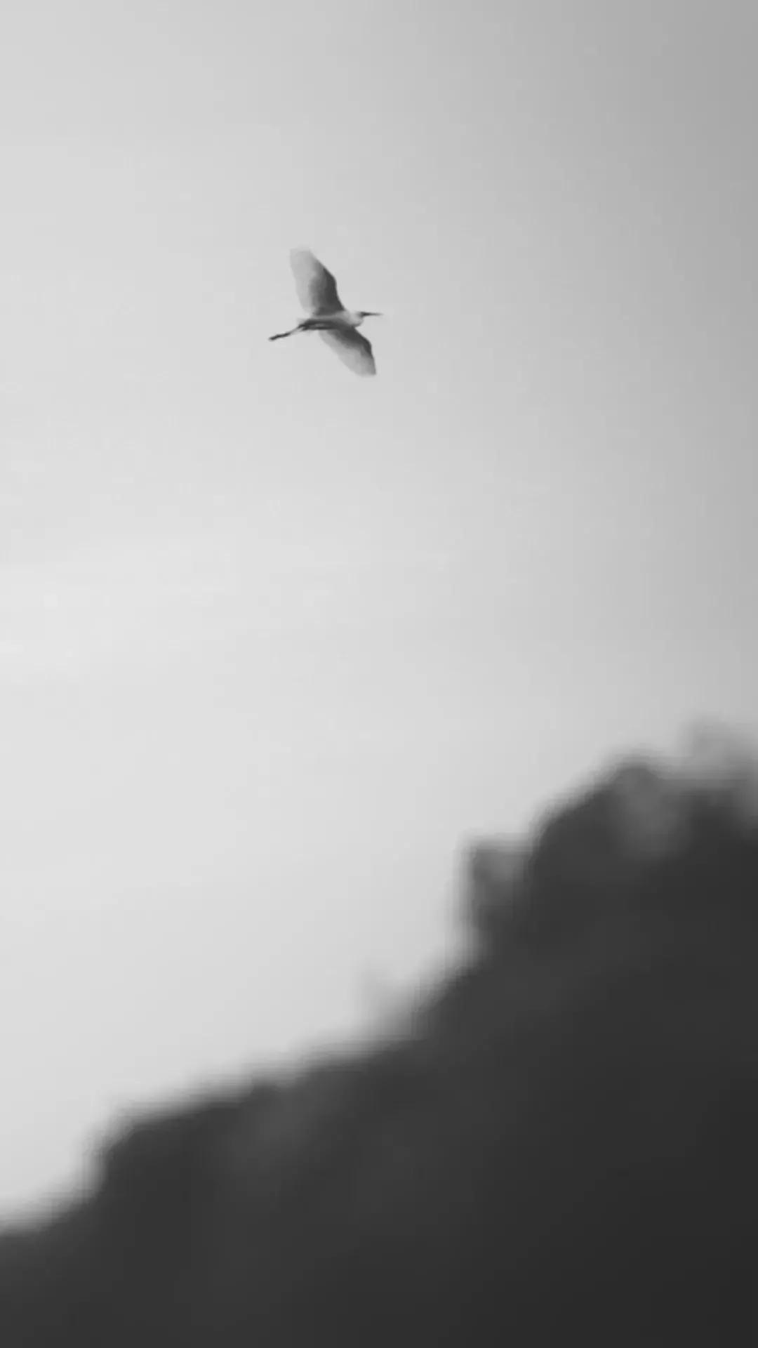 壁纸暗黑系出不去的光,有没有一些暗黑风格的壁纸