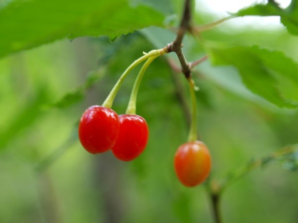 四姑娘山冬日旅行,2022年冬天四姑娘山游记