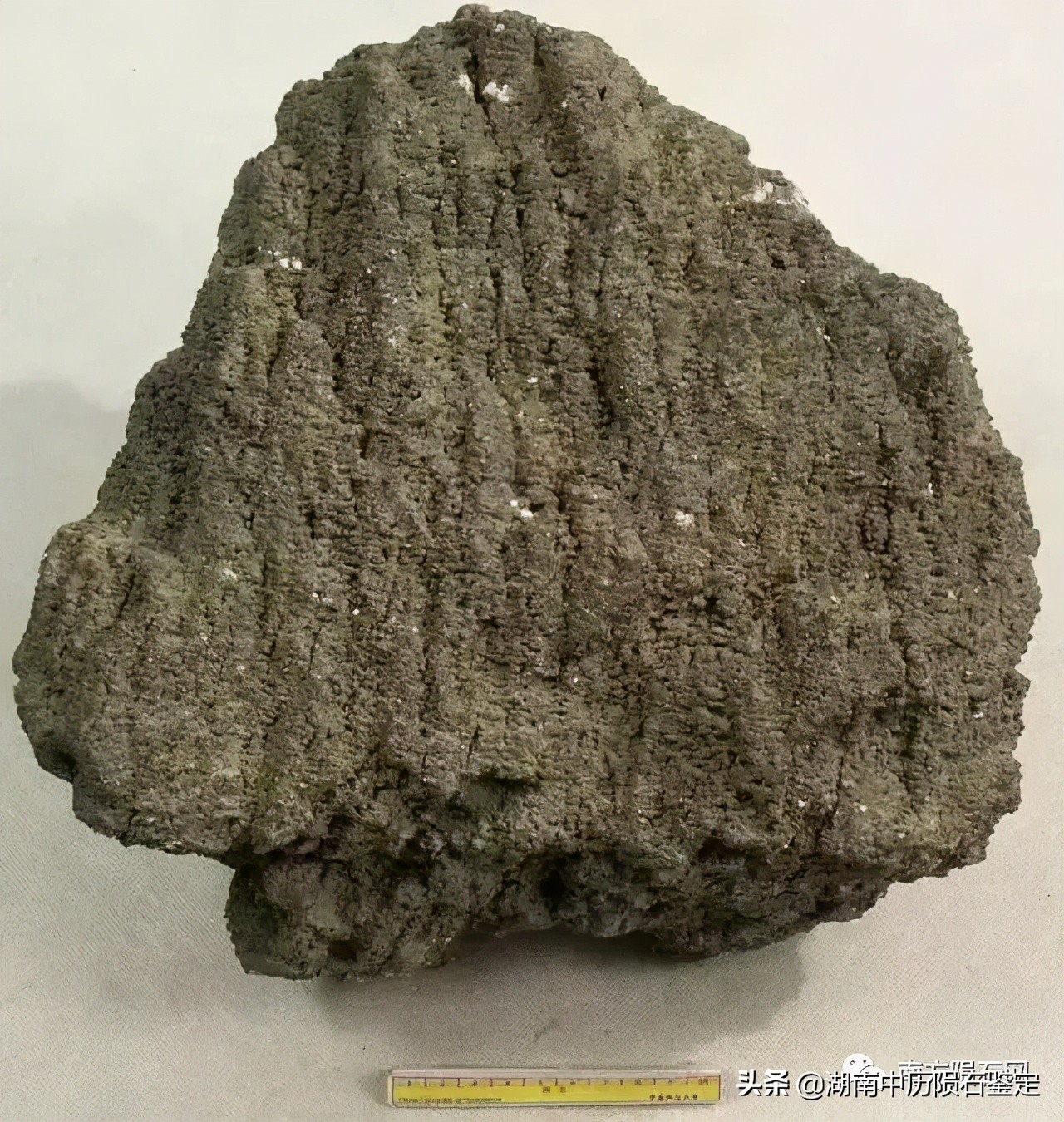 月球陨石与地球矿石的区别,月球陨石和矿石有什么区别