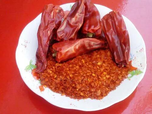 秦椒和托县辣椒,内蒙古的托县辣椒