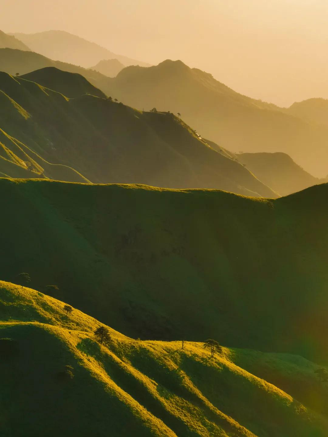 iphone相机人像拍摄技巧,新手必看最新iphone相机教学