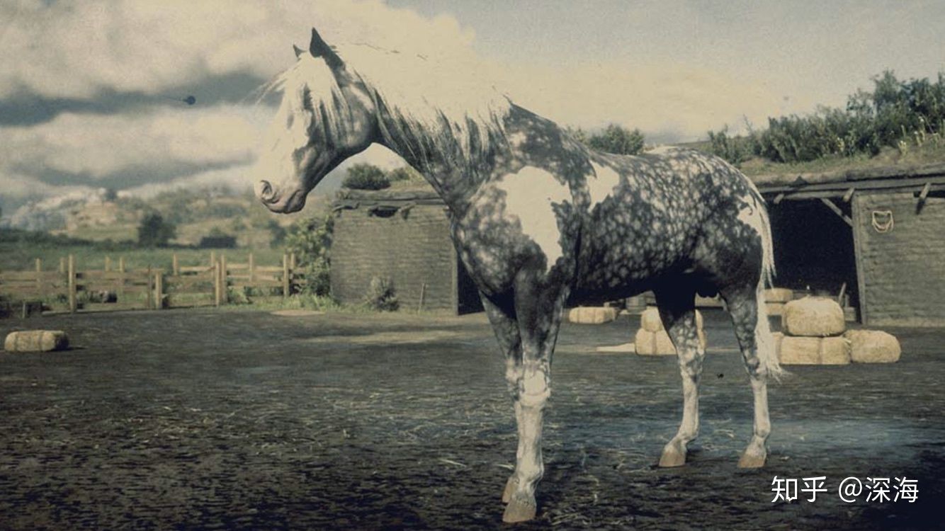 荒野大镖客救赎2新手攻略,荒野大镖客救赎2怎么获取白马