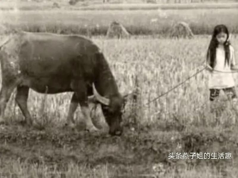 身为70后的我们已经老了,身为70后的我真的老了吗