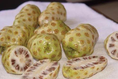 新鲜的诺丽果吃有什么好处,诺丽果是怎么样的水果