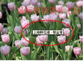 seo优化需要掌握的技术知识,seo优化100个常用技巧seo公司