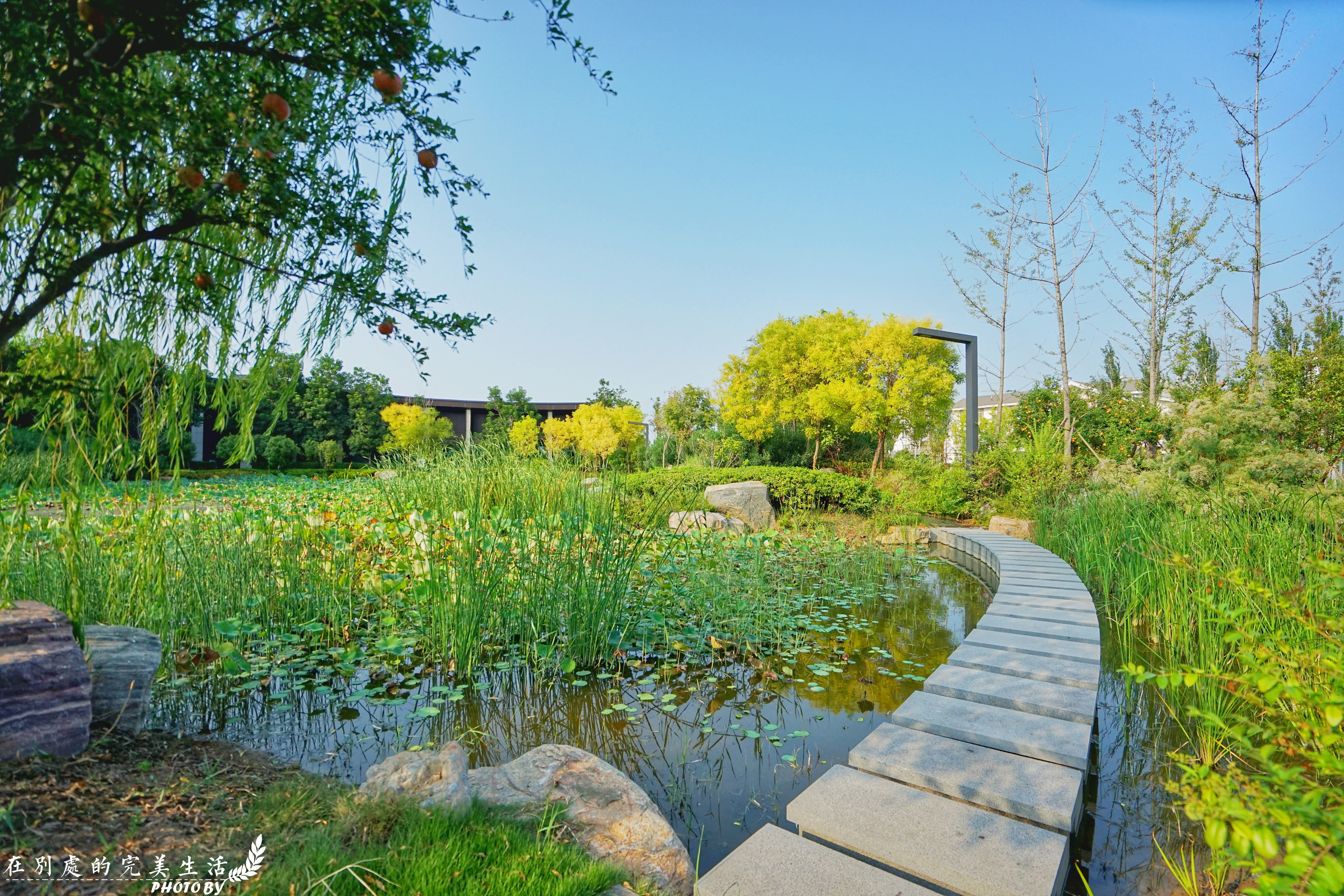去开封旅游应该住在哪个酒店,开封旅游攻略住的酒店