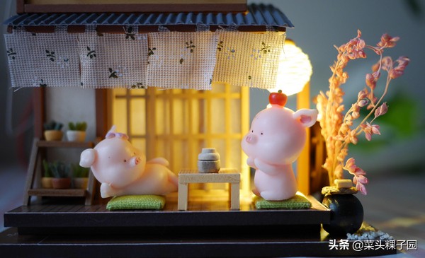 diy微缩小屋模型,微缩版模型小屋