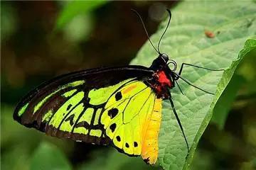 亲子游寒假去哪旅游最好,寒假孩子去哪旅游最好