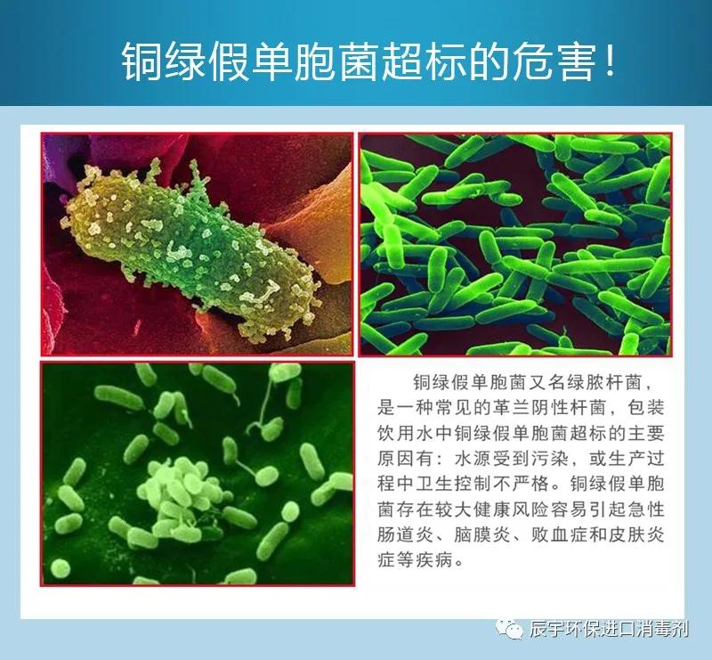 桶装水厂铜绿假单胞菌危害,铜绿假单胞菌桶装水