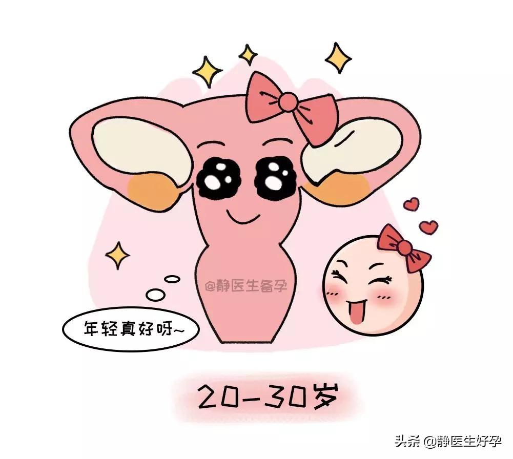 静医生备孕怎么收费,静医生备孕调理值得信任吗