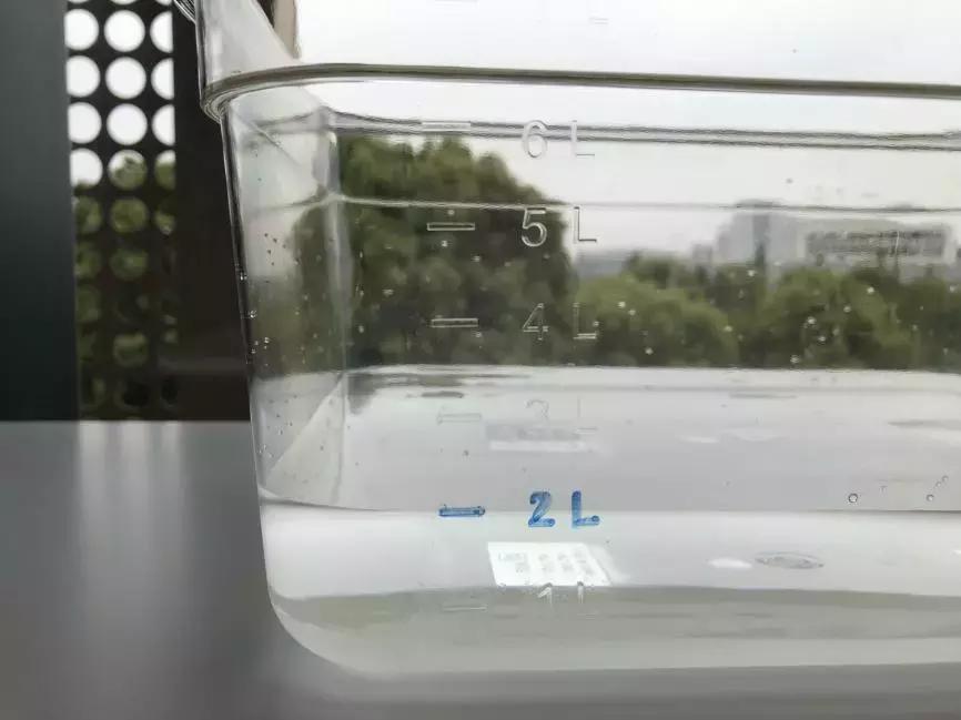 一次性宠物浴巾测评,宠物浴巾测评