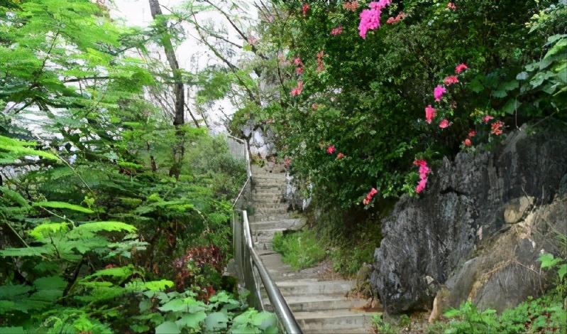 免费游云浮｜如云般洁白轻妙，浮动着向往的生活，云浮免费旅游