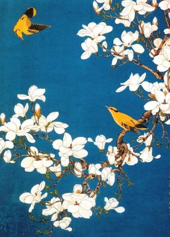 如此高花白于雪,年年偏是斗风开。盛开在诗词中的玉兰花