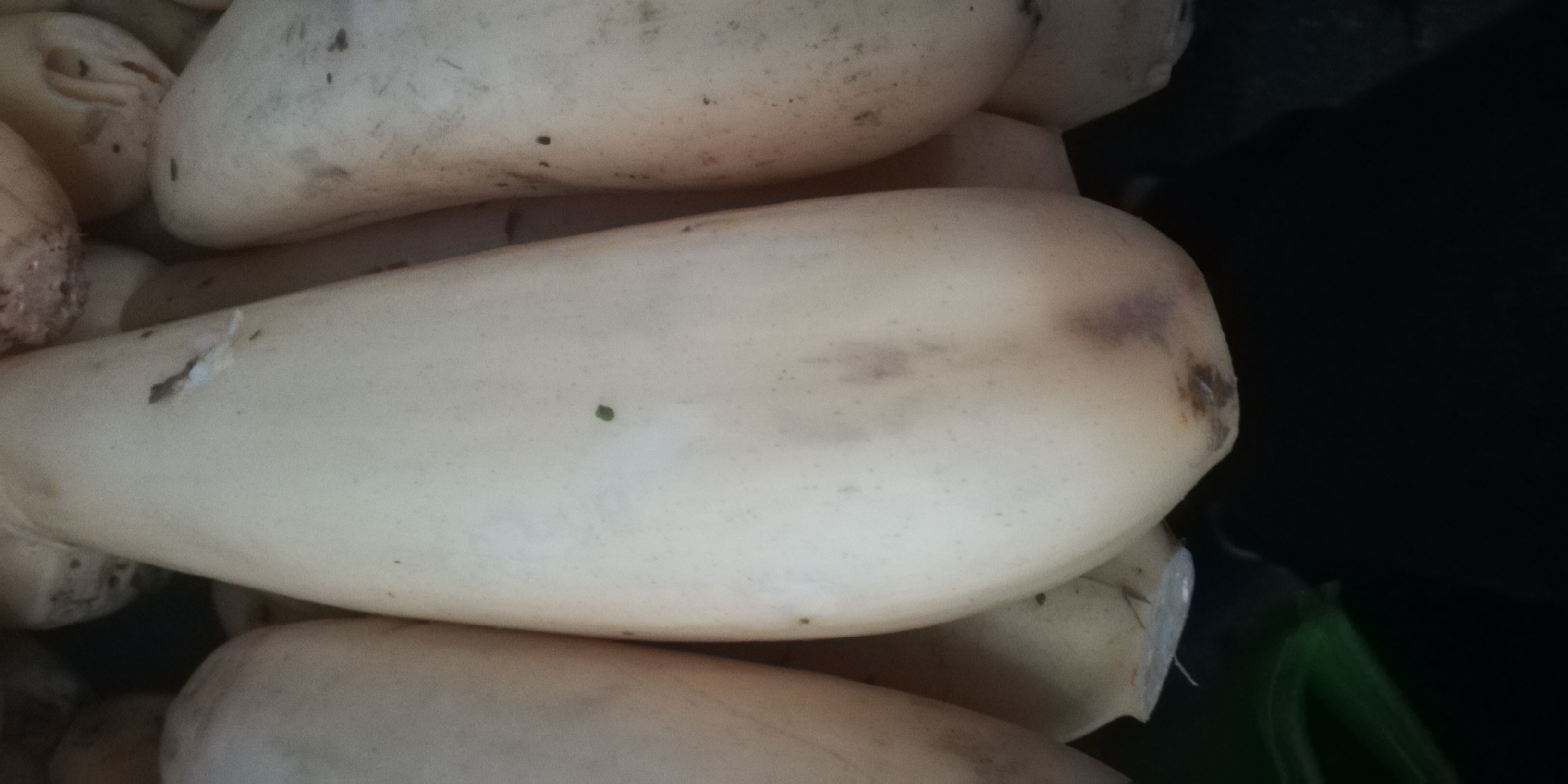 怎样挑选莲藕才能挑得好,莲藕是怎么选的