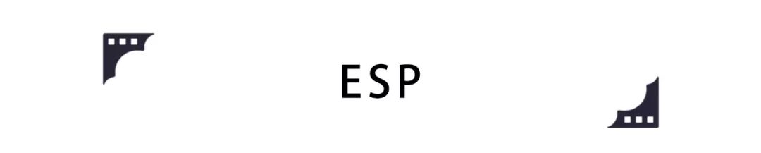 没有esp的车是不是很危险,买了没有esp的车后悔